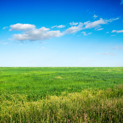 Fototapeta premium sky and fields