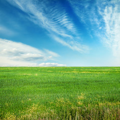 sky and fields