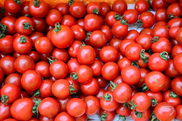 Pile of fresh tomatoes