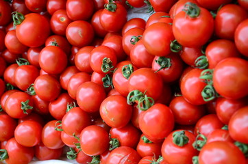 Pile of fresh tomatoes