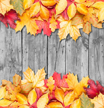 Autumn leaves over wooden background. Copy space.