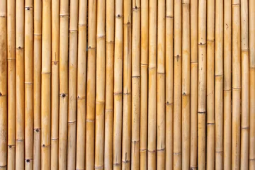 Keuken spatwand met foto Bamboe omheining © Brad Pict