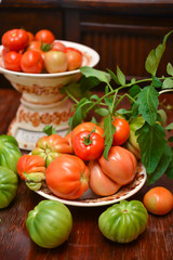 The tomato (Solanum lycopersicum)