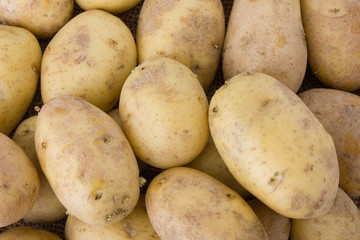 Background made of a pile of potatoes