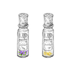 hand drawn apotechary flasks with mandrake root and lavender dri