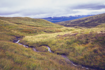 Small stream of water flowing through hillside