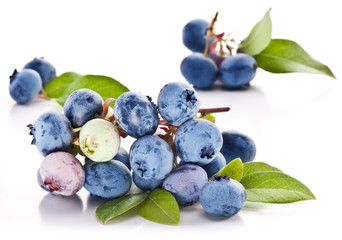 Blueberries with leaves on a white background.