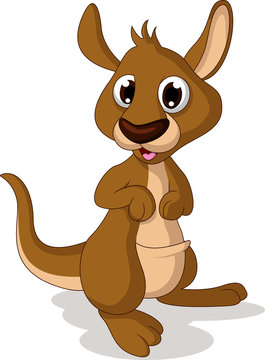 cute baby kangaroo cartoon