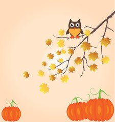 vector fall branch with owl and pumpkins