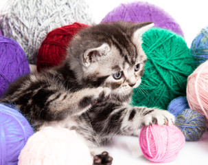 Fototapeta na wymiar kitten with balls of threads. little kitten on white background.