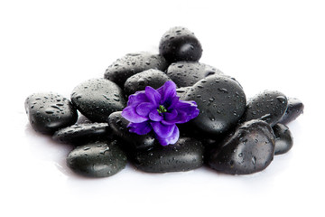 Spa stones with drops and  flowers isolated on white