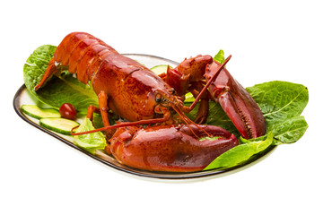 Large Lobster