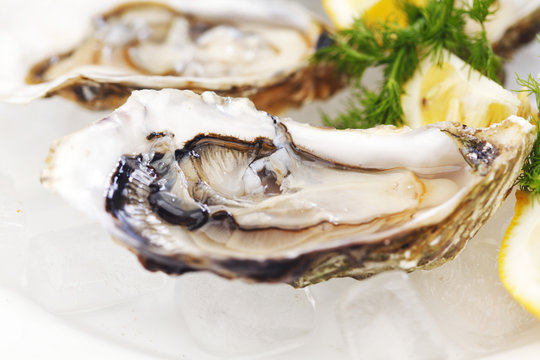 Oysters with lemon and dill