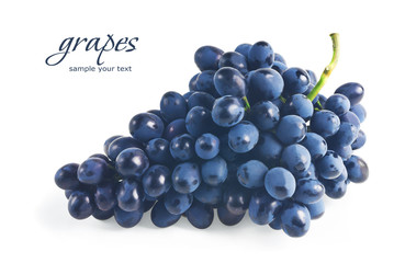 Ripe grapes