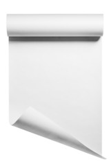 Roll of blank white paper ready for type, isolated