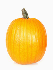 Pumpkin isolated on white