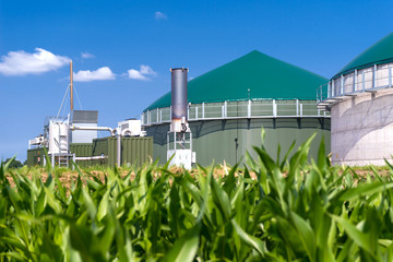 Biogasanlage mit Maisfeld 3137 - obrazy, fototapety, plakaty