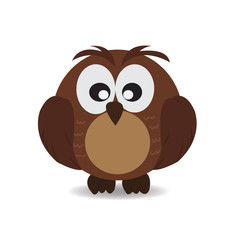 Cute Owl on white background
