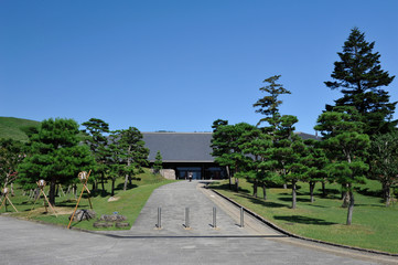Fototapeta na wymiar Nara