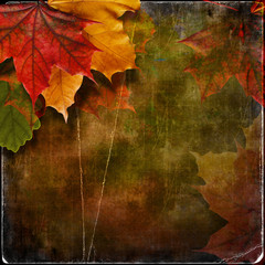 Naklejka na ściany i meble Grungy autumn background with maple leaves