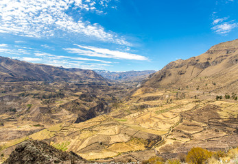 Colca Canyon, Peru,South America. Farming terraces with Pond