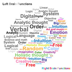Obraz premium Left and Right brain function illustration