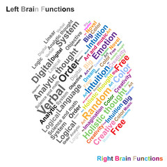 Left and Right brain function illustration