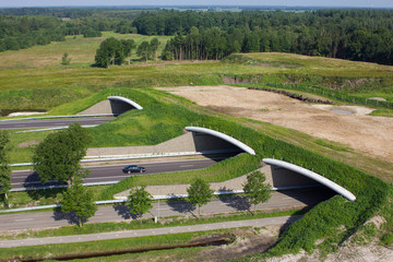 Aerial view of a animal or wildlife overpass crossing a highway