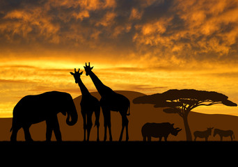 giraffes,elephant and rhino over sunrise