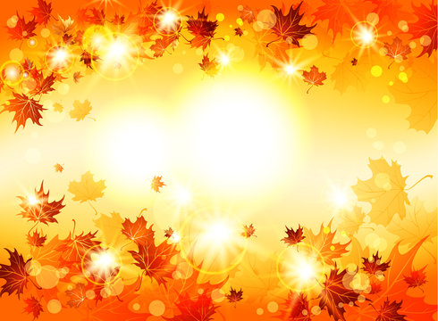 Bright abstract background with autumnal leaves