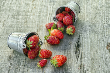 Strawberries in pots
