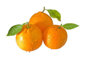 three oranges3