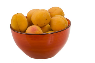 Yellow bright apricot