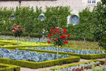 Gardens and Chateau de Villandry  in  Loire Valley in France