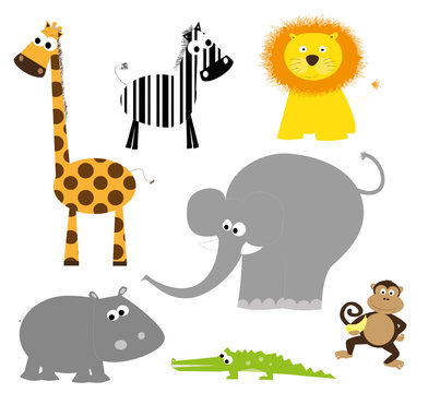 African animals collection- vector illustration
