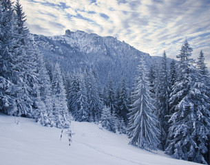 Fototapeta premium winter mountain landscape in forest, Romanian Carpathians