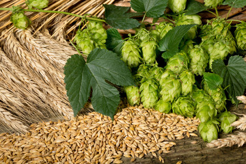 raw material for beer production