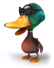 Duck