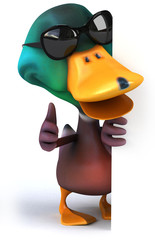 Duck