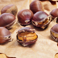 roasted chestnuts, typical snack in All Saints Day in Catalonia,