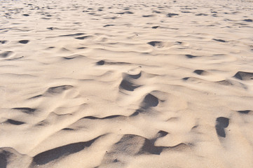 Dettaglio dune sabbia sulla spiaggia