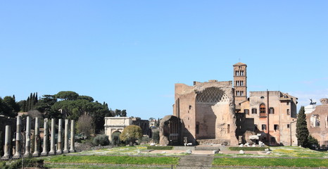 Fototapeta na wymiar ancient ruins of the Roman empire, Italy