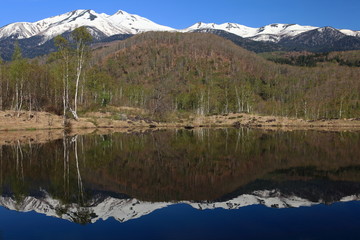 春の乗鞍高原　まいめの池と残雪の乗鞍岳