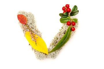 Autumnal letters concept isolated on white