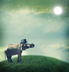 Gardinen Elephant with top hat on fantasy landscape © Tierney