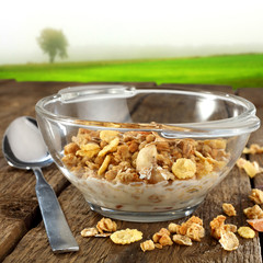 muesli