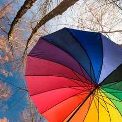Bunter Herbst: Schirm in Regenbogenfarben vor Baumkronen
