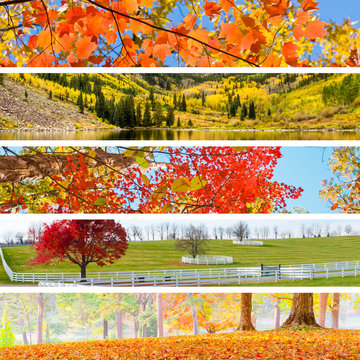 Autumn Collage