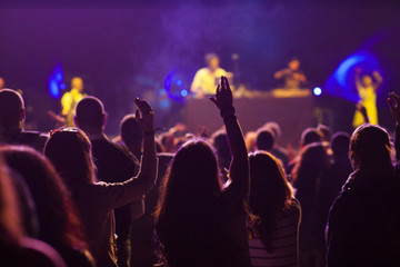 Crowd at concert