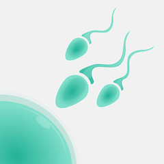Sperm